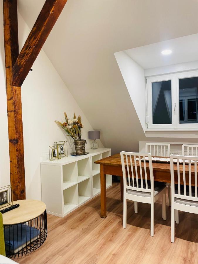 HD-Appartment mit Neckar- und Schlossblick Heidelberg Exterior foto